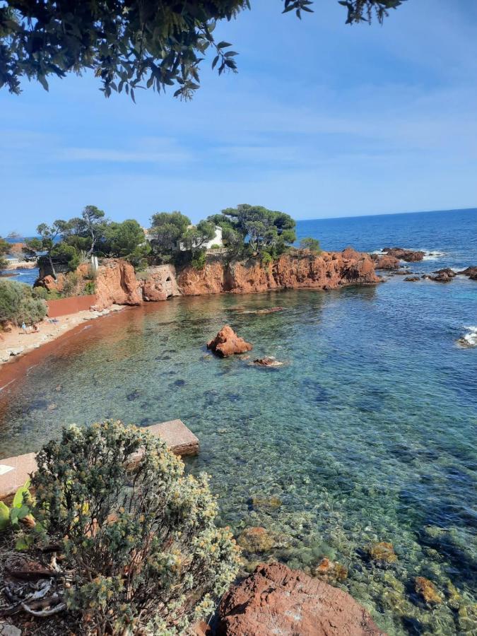 Campsite Grand Mobilhome Spacieux 8 Places Frejus/straphael
